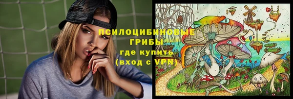 стаф Ростов