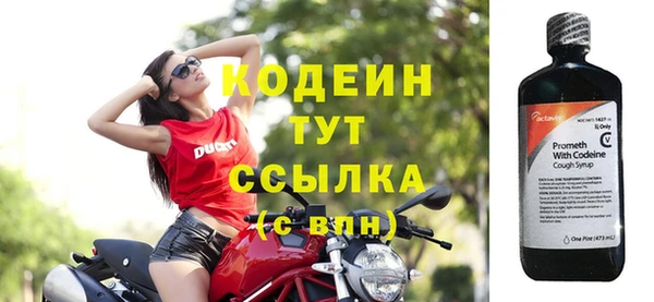 стаф Ростов