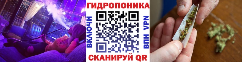 Купить закладки  Каменск-Шахтинский  Каннабис сатива 
